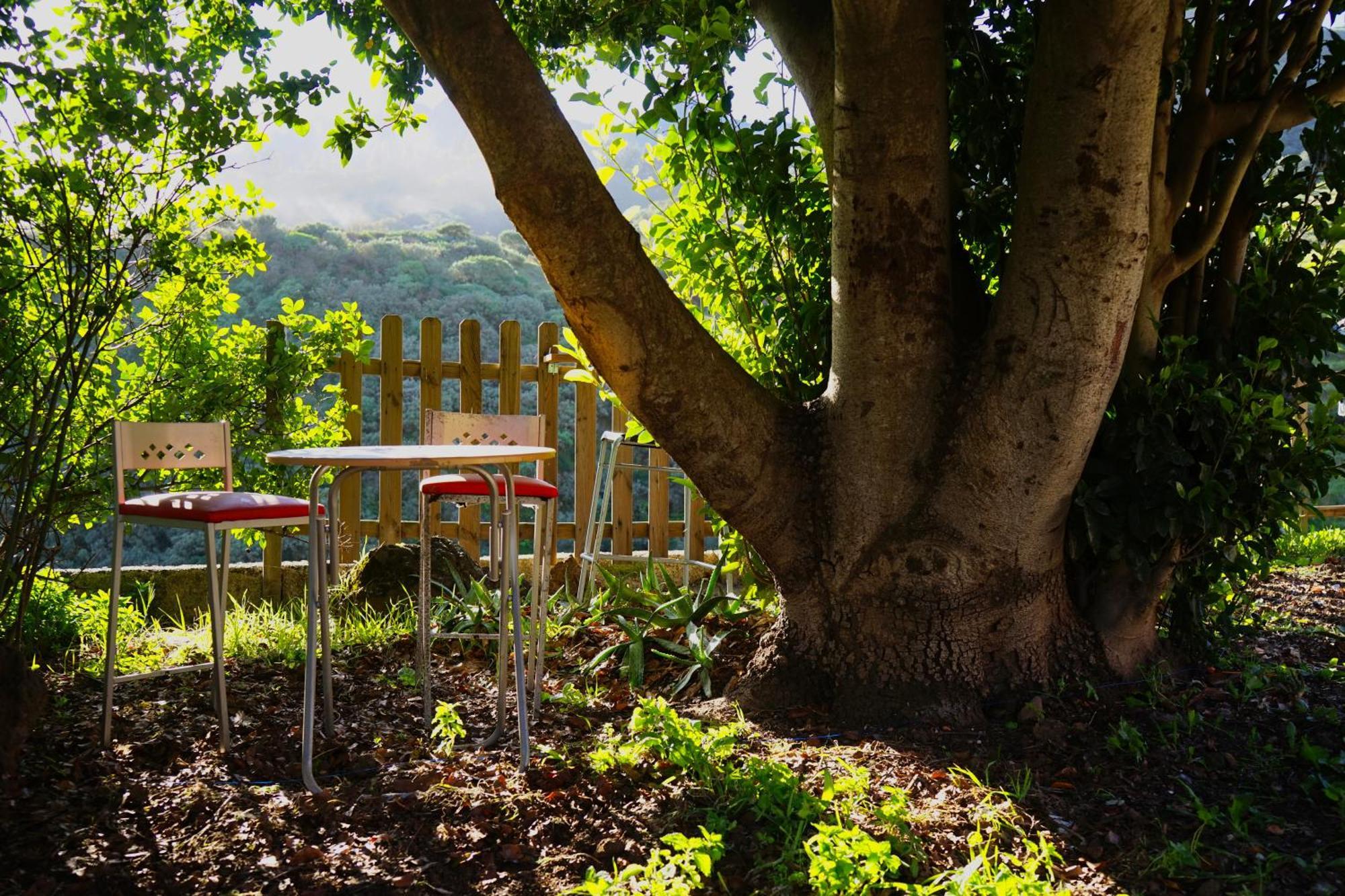La Casita Hostel Vega de San Mateo Εξωτερικό φωτογραφία