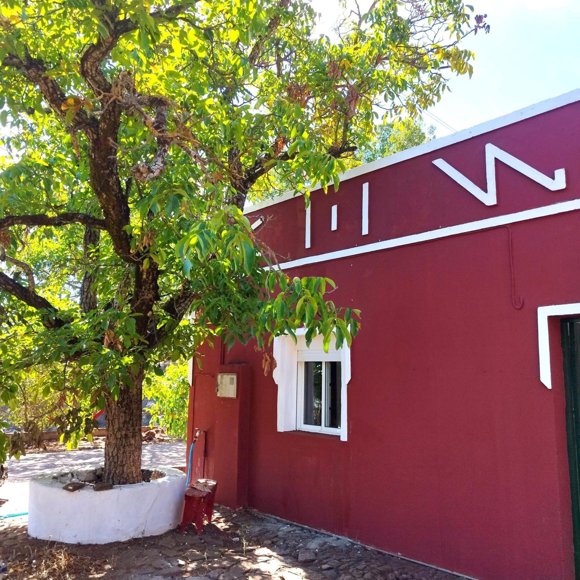 La Casita Hostel Vega de San Mateo Εξωτερικό φωτογραφία